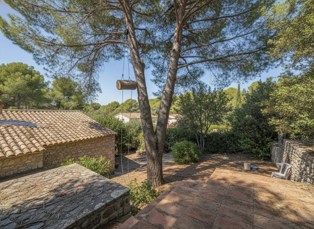 Démontage par rétention d'un grand pin dans un jardin clos des hauteurs de Nice